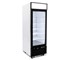 AG Equipment - Upright Single Glass Door Display Freezer | 540 Litre 