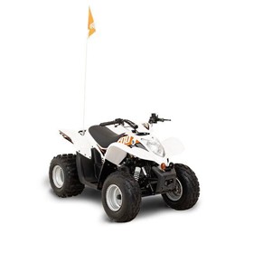 ATV 90cc Fan-Cooled 4-Stroke Engine | Xplorer XC 90