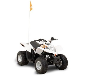 ATV 90cc Fan-Cooled 4-Stroke Engine | Xplorer XC 90