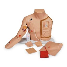 Chest Training Aid | Chester Chest | Medical Training Model
