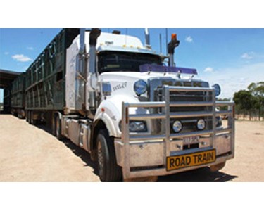 Mack - Prime Mover Truck | Titan