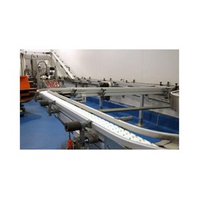 Chain Conveyor | Flexible Slat