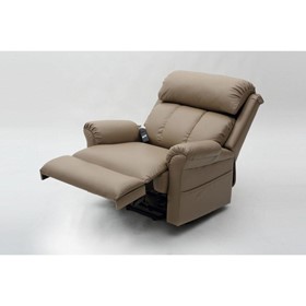 Electric Lift Reclining Chair