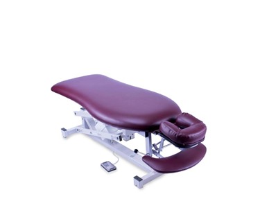 Athlegen - Treatment Table | Pro-Lift: Access Standard Bronze