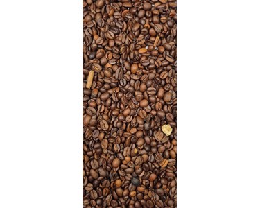 Meyer - Coffee Bean, Peanut, Walnut & Pine Nut Belt Colour Sorter – KMS