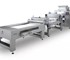6 Rows Dough Divider & Rounder Machine with Moulder and Traying System