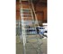 BJ Turner - Mobile Platform Ladder | GTS29/12
