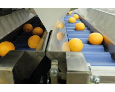 Manter - Weighing Machines M12 V