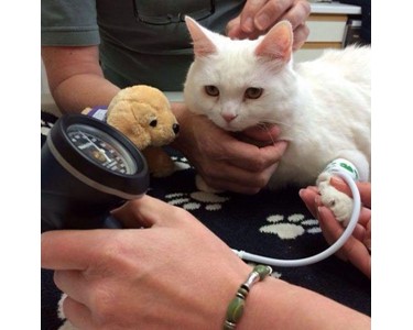 Thames Medical - Vet Doppler Blood Pressure Monitor | CAT+ Doppler