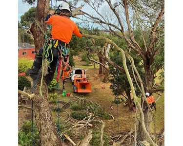 Tomcat - Industrial Wood Chipper | Model 4250AFE