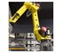 Dematic - Robotic Palletiser | High-Performing