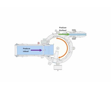 Produce Singulator | Wyma Solutions