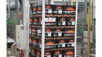 Horizontal Pallet Strapping Machine for Agriculture Industry