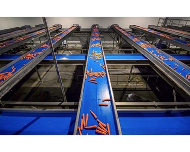 Wyma - Octal Conveyors & Elevators