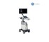 GE - Veterinary Ultrasound Machine | Logiq P9 