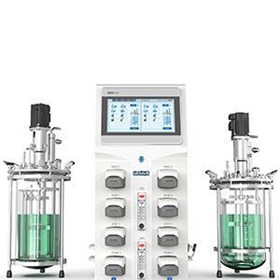Laboratory Bioreactor | LabFlow Twin220 Duplex Fermenter