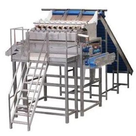 Multihead Weighers | Induser Linear 