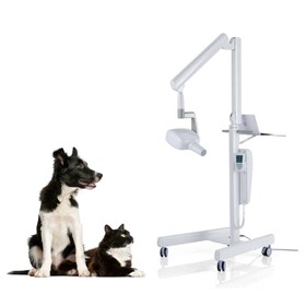 Veterinary Dental X-Ray  | RXDC 