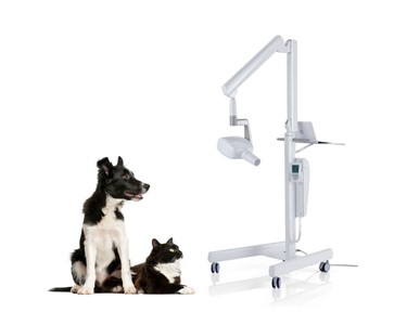 NewTom - Veterinary Dental X-Ray  | RXDC 