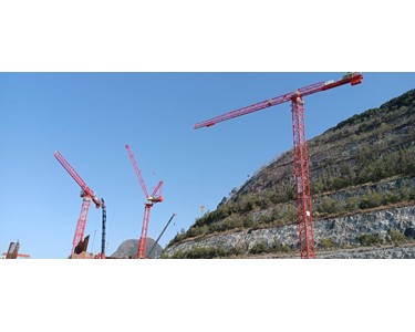 Zoomlion - Tower Crane L200