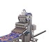 JBT - Food Sorting Machine | C.A.T.™ Product Metering System