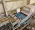 Optica S Optical Sorter