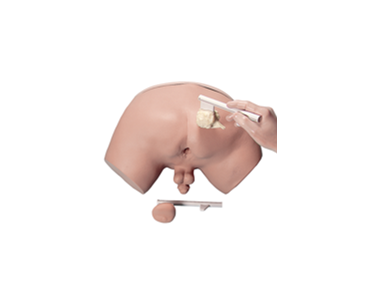 Prostate Examination Simulator | Mentone Educational