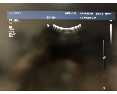 Philips - C9-4 [Ultrasound Transducer] - [EX2544]