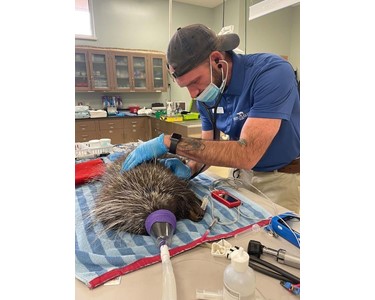 Sentier - Vet Vital Signs Monitor | Sentier Vetcorder Pro with Reflectance Kit