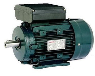 Teco - Single Phase Induction Motor | Monarch | Chain & Drives