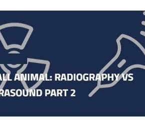 Small Animal: Radiography Vs Ultrasound Part 2