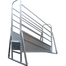 Cattle Loading Ramp