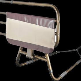 Sleep Safe Bed Rail
