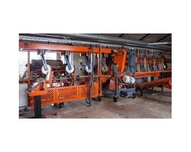 Wood-Mizer - Twin Vertical Saw | TVS HD for Industrial Sawmilling Operation