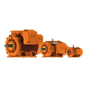 Metric Mining Electric Motor | LTE16B W22M