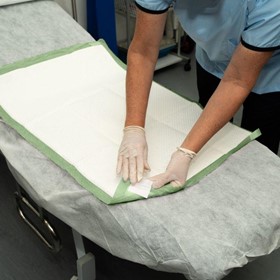 Green Absorbent Underpads Medium | ECOZORB