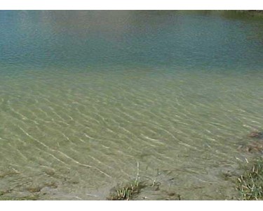 SmarterCtrl - Algae Controller - Algal Bloom Management | Wetlands | Lakes | Ponds 