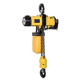 EHL2TWP - 2t Air Hoist with Pendant