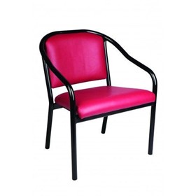 Bariatric Arm Chair | Kara 600 