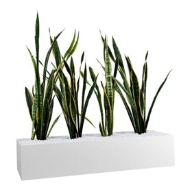 Planter Boxes – to suit Tambours or Standalone