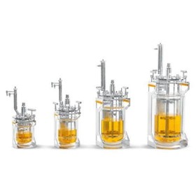 Benchtop Bioreactors UniVessel® Glass
