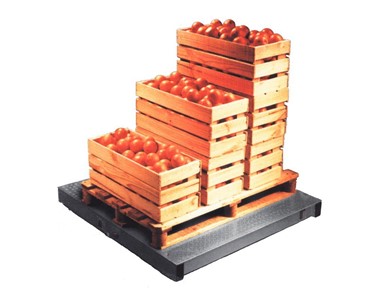 Platform Scale