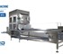 PND Fruit Processing Machinery - Fruit Processing Machine | PND Strawberry De-Calyx DF12 - DF24