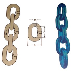 Chain Sling Grade 100 (V)