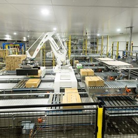 Robotic Palletising and Conveying system delivered to DA Hall & Co