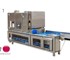 AIT Vegetable Machinery - Vegetable Cutting / Coring Machine | AIT Silex 