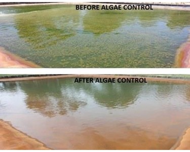 SmarterCtrl - Algae Controller - Algal Bloom Management | Wetlands | Lakes | Ponds 