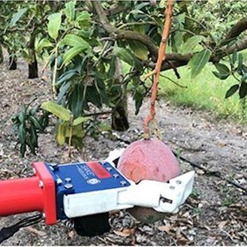 Automatic Mango Picking Machine