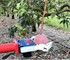 Automatic Mango Picking Machine