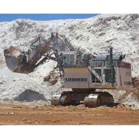 Mining Excavators | R 9800